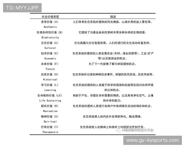 球队引援的长期价值评估模型，球队引援的长期价值评估模型是什么